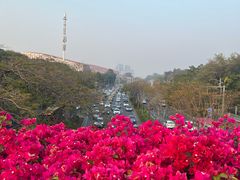 -云溪植物园