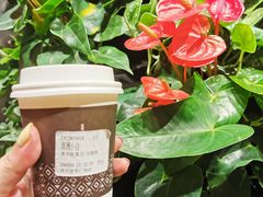 -Peet's Coffee皮爷咖啡(德基店)