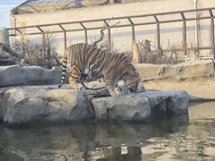 -祥源·阜阳生态乐园