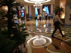 -沈阳于洪碧桂园凤凰酒店