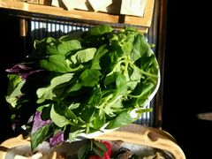 -滇釜火锅·能喝汤的火锅(车公庄店)