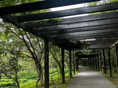 -九龙潭景区