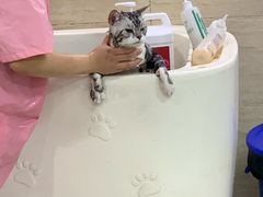 -多卡布奇宠物生活馆(上林世家店)