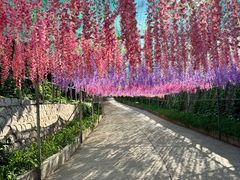 -北京十三陵国家森林公园蟒山景区