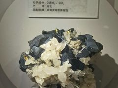 -湖南省地质博物馆