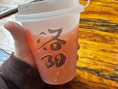 -老雒阳面馆·水席·洛阳菜(纱厂路店)