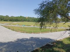 -北陵公园