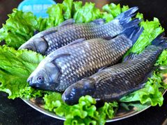 -恋羊时代黑山羊火锅(滨海大道店)