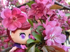 -海棠花溪(元大都城垣遗址公园)