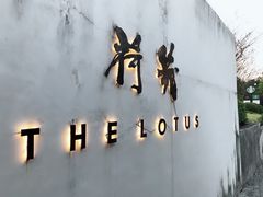-几荷·恰似故人来(秀水广场店)