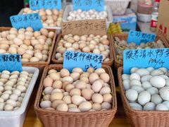 -长兴慧子土特产茶行