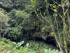 -海口火山口国家地质公园