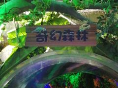 -锦艺城海洋馆