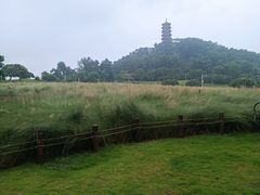 -红花山公园