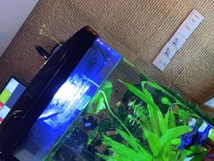 -跨越足界Spa足道(潍坊店)