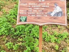 -草根堂农场