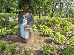 -上海共青森林公园