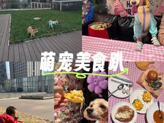 -百好乐宠物友好餐厅(朝外大街店)