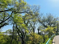 -南京老山国家森林公园