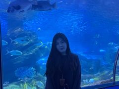 -蓬莱欧乐堡海洋极地世界