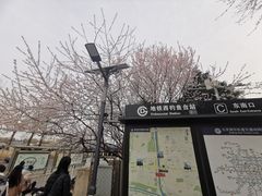 -中国人民解放军空军特色医学中心(空军总医院)