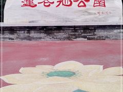 -莲花池公园