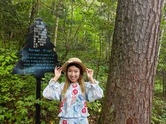 -五营红松林海景区