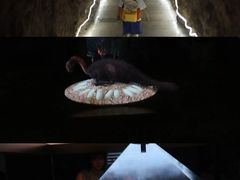 -中国西峡恐龙遗迹园