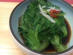 葱油罗马生菜-船歌·鱼水饺青岛菜(国贸商城店)