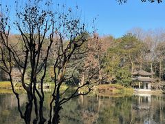-杭州植物园