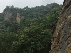-北京鹫峰国家森林公园