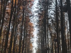 -青山湖景区