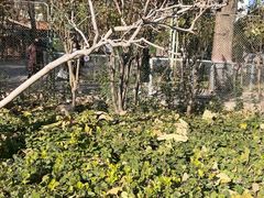 -保定市动物园