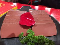 -谭鸭血老火锅(七宝万科广场店)