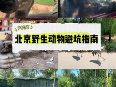 -北京野生动物园