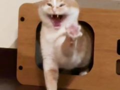 -PANDA电竞中心(天街店)