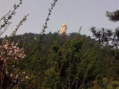 -大金鹰园