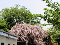 -玉山公园