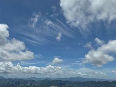 -阳台山森林公园