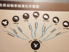 -大庆市博物馆