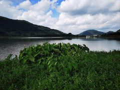 -风云岭森林公园