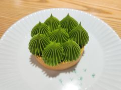 抹茶挞-猫里有甜