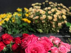 -Olé精品超市(海上世界店)