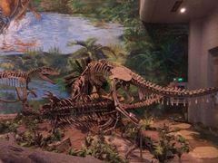 -自贡恐龙博物馆
