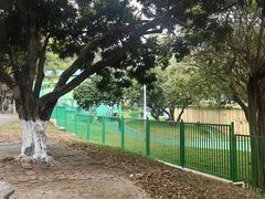 -紫马岭公园