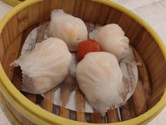 -潮江春(阳光店)