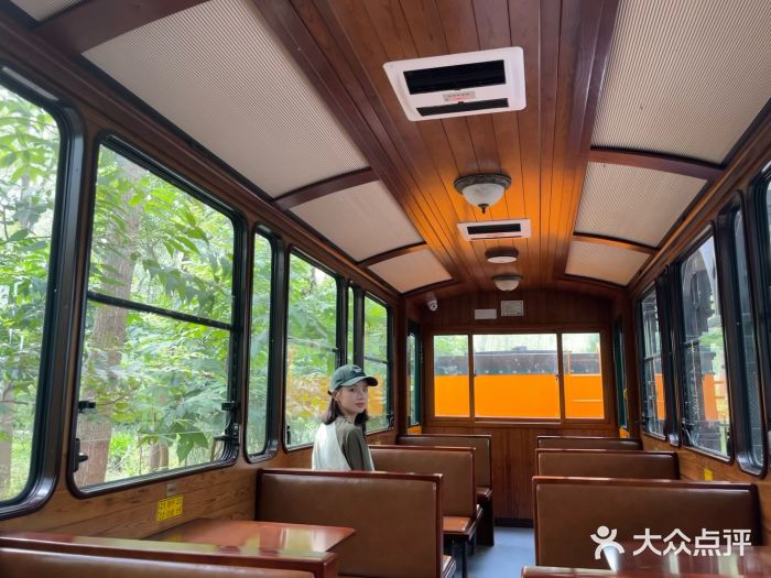 合肥滨湖国家森林公园图片