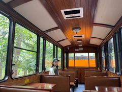 -合肥滨湖国家森林公园