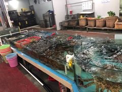 -绿雅居原生态农庄(小涌店)