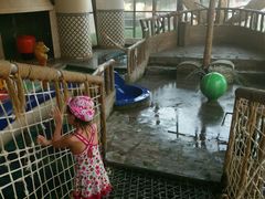 -月亮河温泉度假酒店